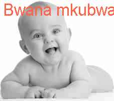 baby Bwana mkubwa